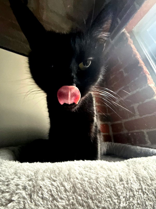 ibit3irl instagram image archive image
