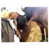 gigihadid Altpins Profile Picture