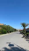 federica.piccinni Altpins Profile Picture