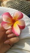 pia__kim Altpins Profile Picture