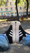 hoodifruit Altpins Profile Picture