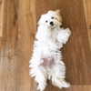 lucyhale Altpins Profile Picture