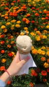 eme.gee Altpins Profile Picture