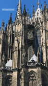 liashaked Altpins Profile Picture