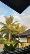 tirtza_cohen Altpins Profile Picture