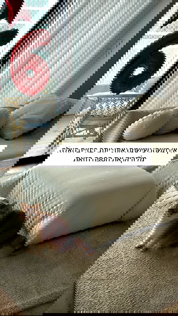 itsilanosh itsilanosh archive image