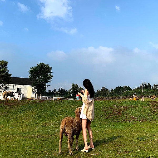 daxbin instagram image archive image