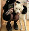 kriskaik Altpins Profile Picture
