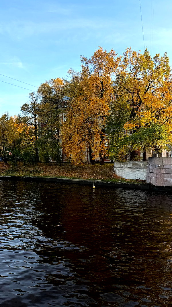 avestanova archive image