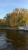 avestanova Altpins Profile Picture