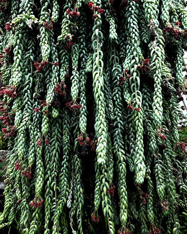 reneeebeller instagram image archive image