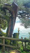elizabethcampbelljones Altpins Profile Picture