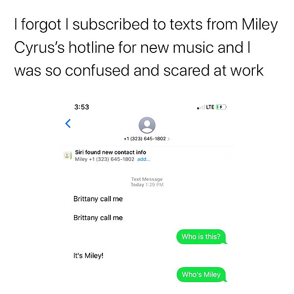 mileycyrus instagram image archive image