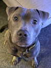 _m_a_y_c_ Altpins Profile Picture
