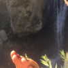 haileylayfield Altpins Profile Picture