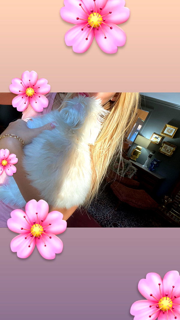 elizabethcampbelljones instagram image archive image