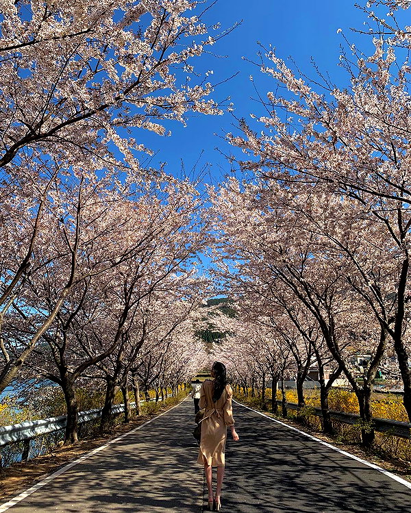 daxbin instagram image archive image