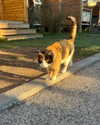 katrina.zaiceva Altpins Profile Picture