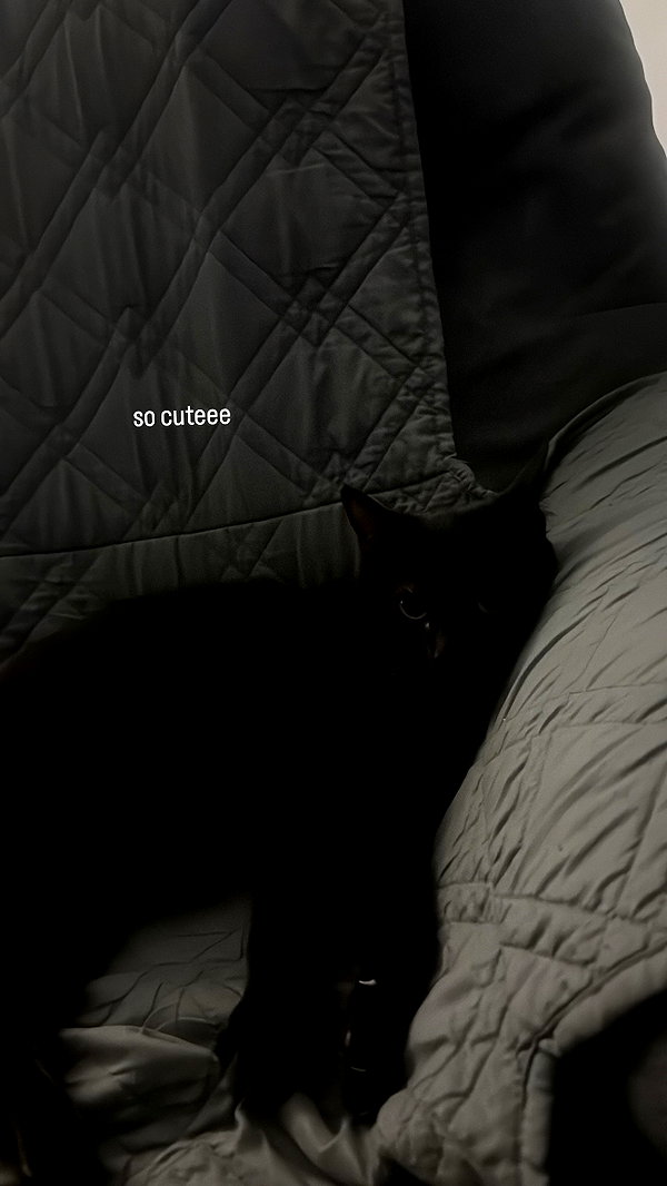 averygr4ce instagram image archive image