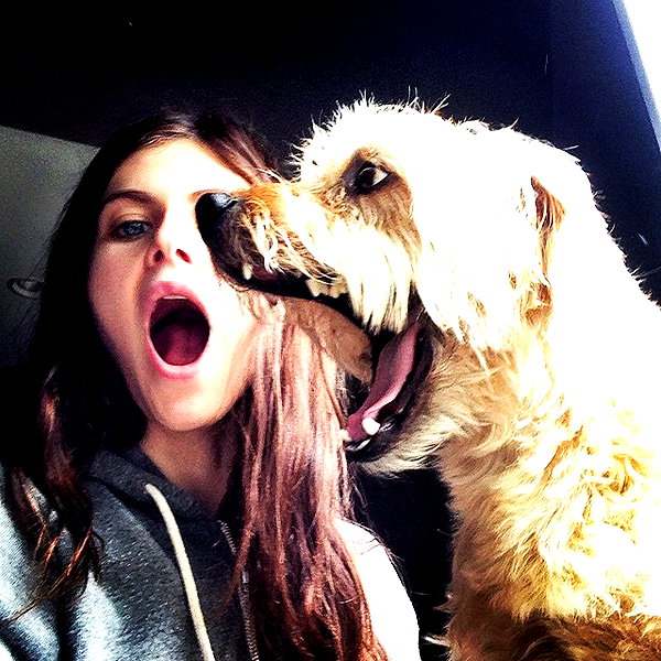 alexandradaddario instagram image archive image