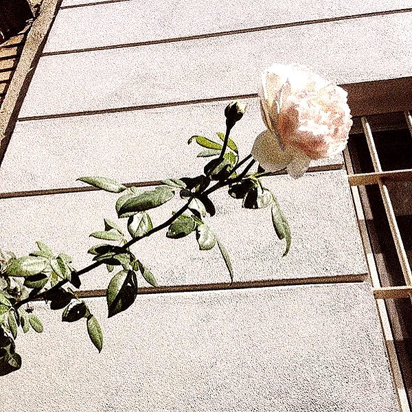 nataliesole instagram image archive image