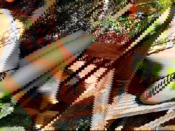 tamagotkri tamagotkri archive image