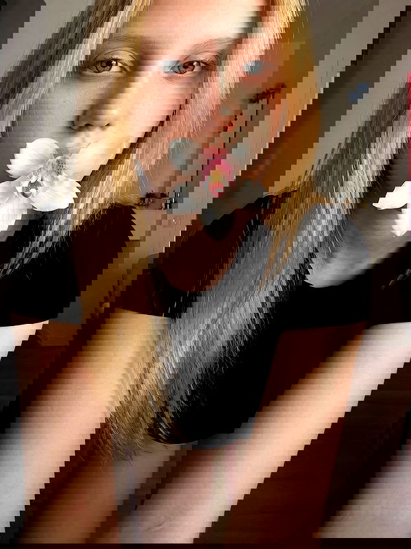 sofykil sofykil archive image