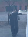borkwsmh Altpins Profile Picture
