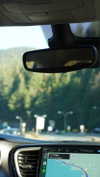 maruliners Altpins Profile Picture