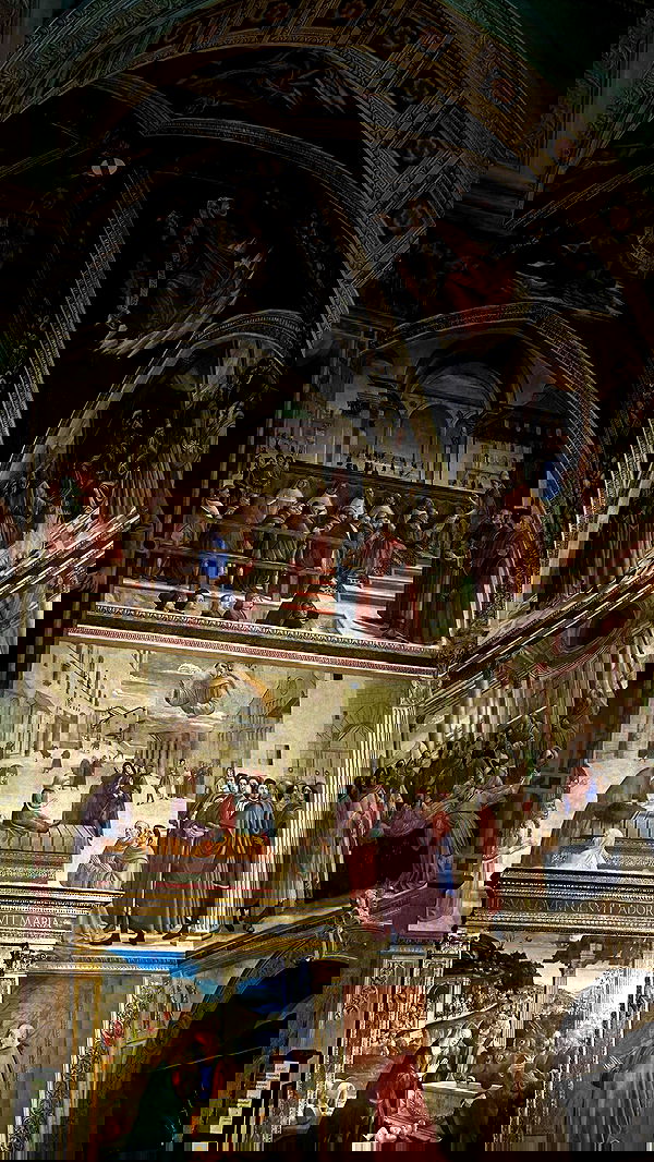 taylor.creeden taylor.creeden archive image