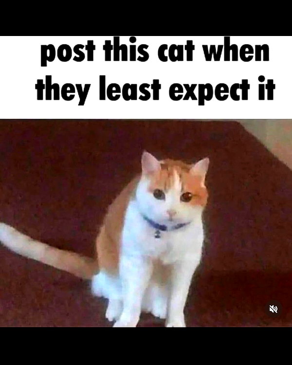leanbeefpatty instagram image archive image