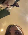 danielle.mercedie Altpins Profile Picture