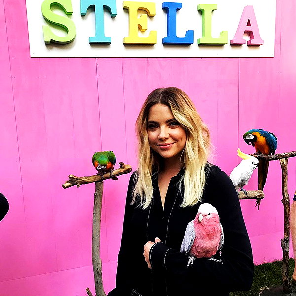 ashleybenson instagram image archive image