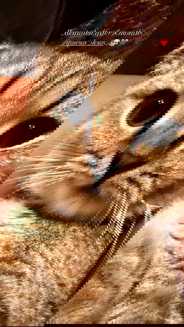 taylor.creeden taylor.creeden archive image