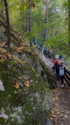 kristti.a Altpins Profile Picture