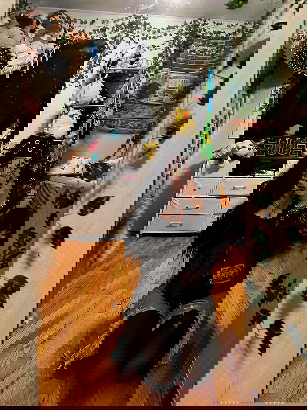 _animechika_ _animechika_ archive image