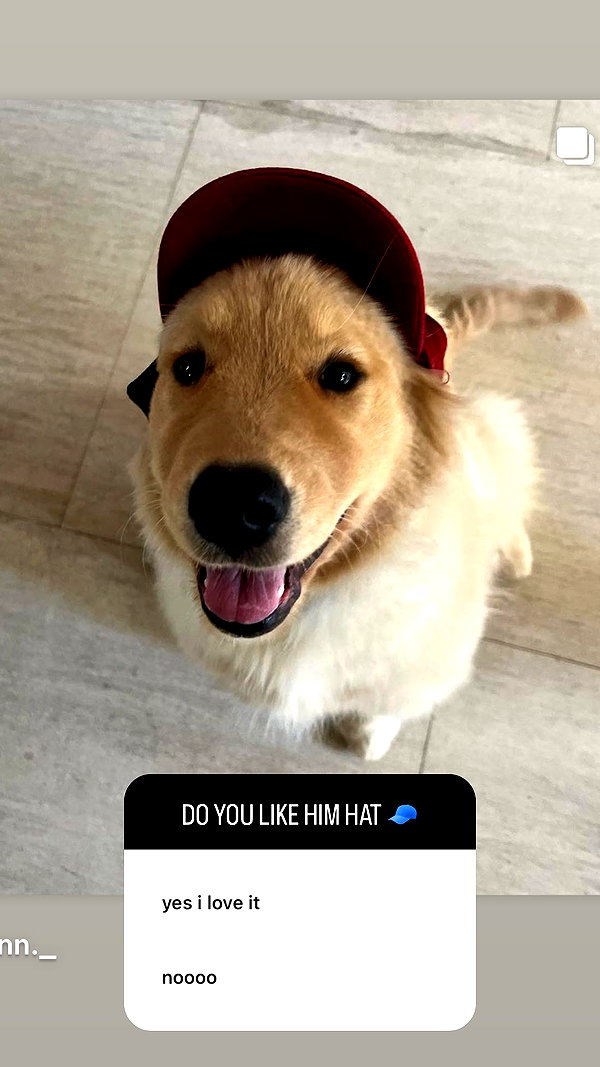 allie_dunn instagram image archive image