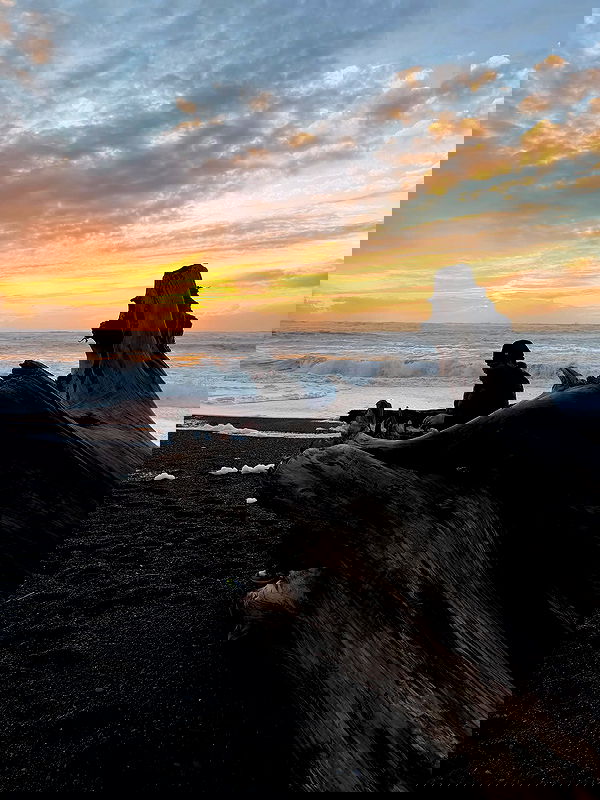 taylor.creeden taylor.creeden archive image