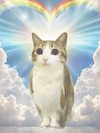 milkibunshehe Altpins Profile Picture
