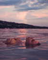 gabbyepstein Altpins Profile Picture