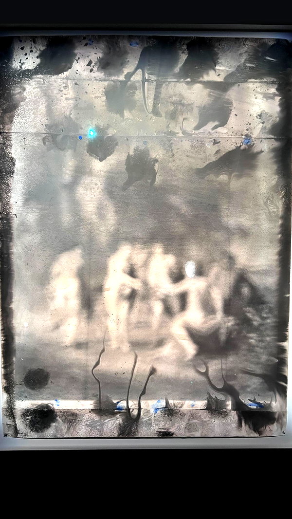 karolinaawasik archive image