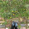 elizabethcampbelljones Altpins Profile Picture