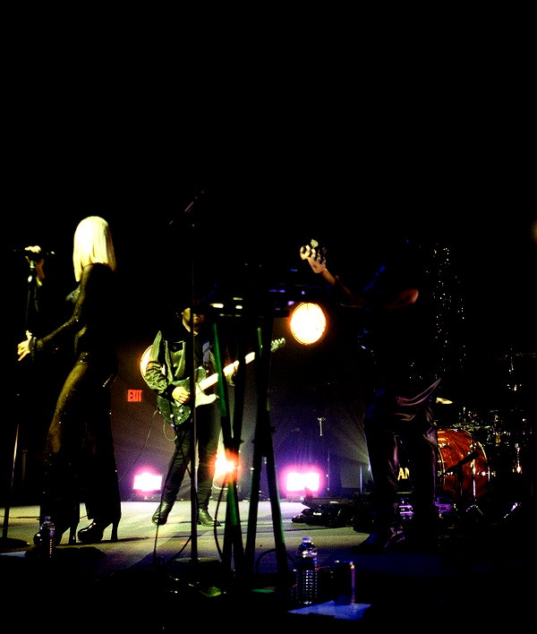 cannonstheband instagram image archive image
