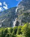 rouxroux.tv Altpins Profile Picture