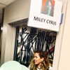 mileycyrus Altpins Profile Picture