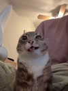 bloodymila Altpins Profile Picture