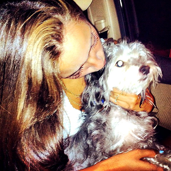 neta_alchimister instagram image archive image
