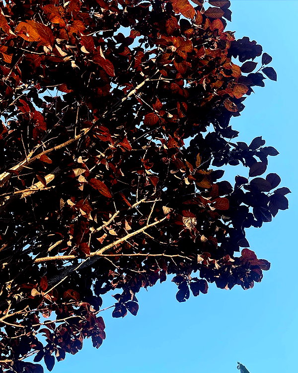 melsaimc instagram image archive image