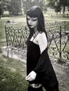 kittenfangsxx Altpins Profile Picture