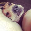 sashapieterse Altpins Profile Picture